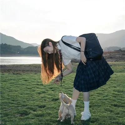 蠢狗记
